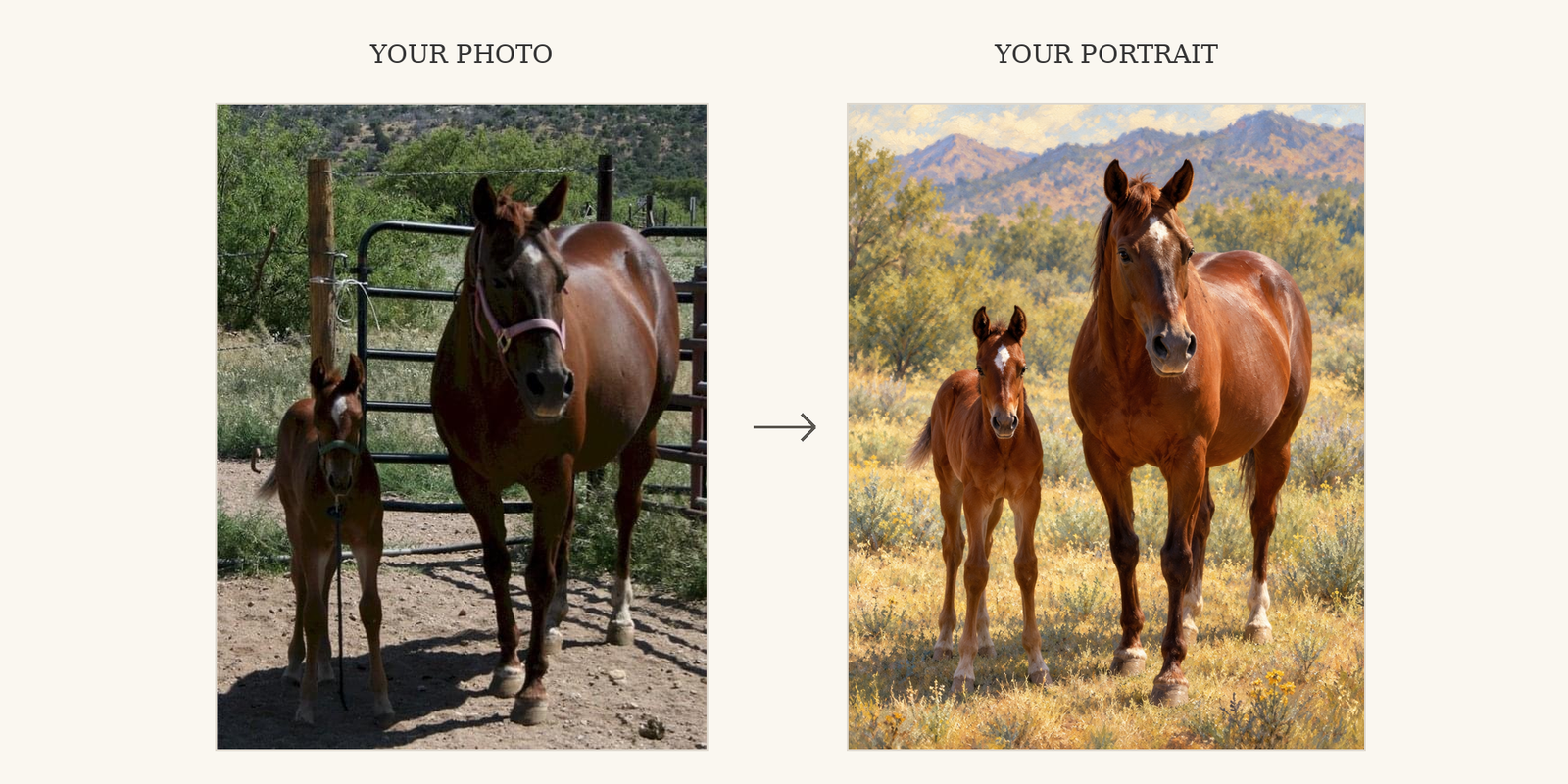 Before and after: the original mare and foal photograph beside their painted portrait